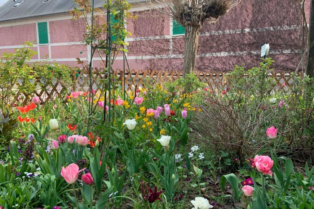 Le Clos de l'Eglise - Blanche