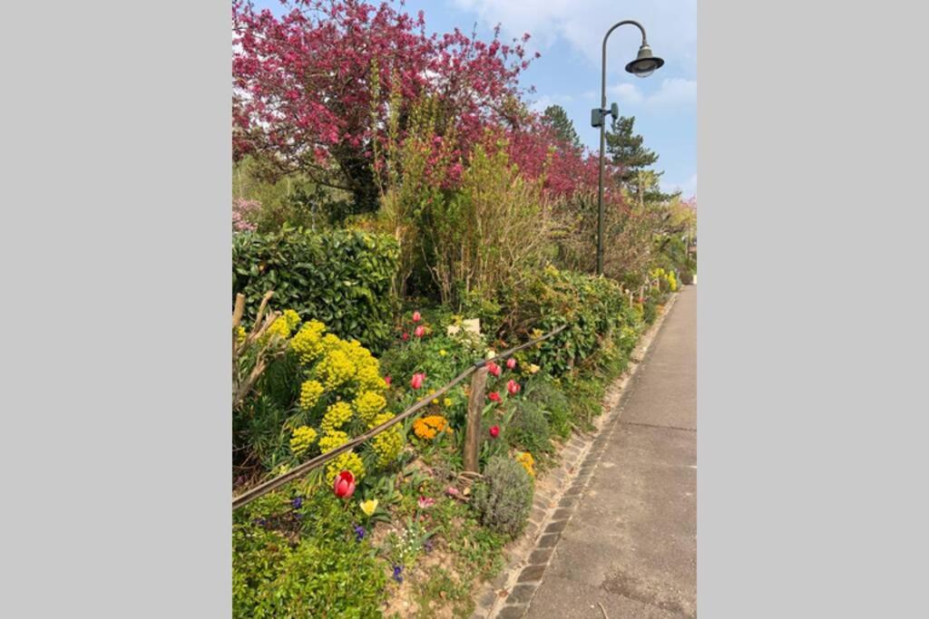 Le Clos de l'Eglise - Blanche