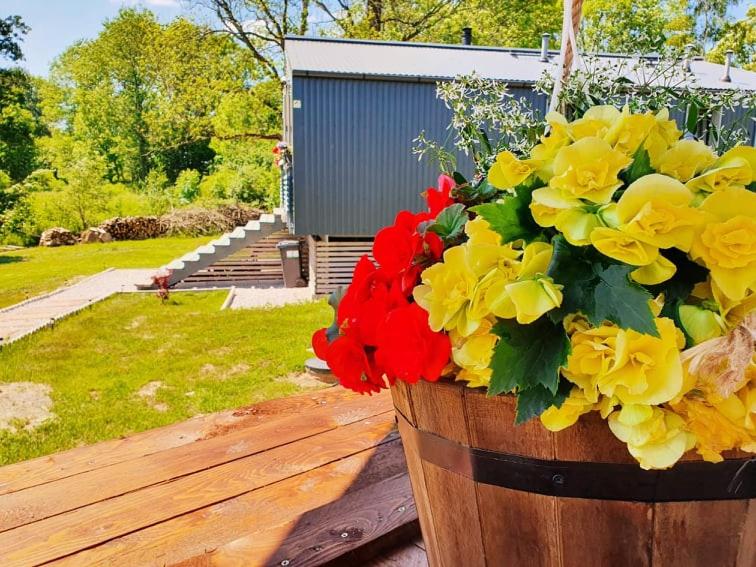 Bohemian Homes - Buddha