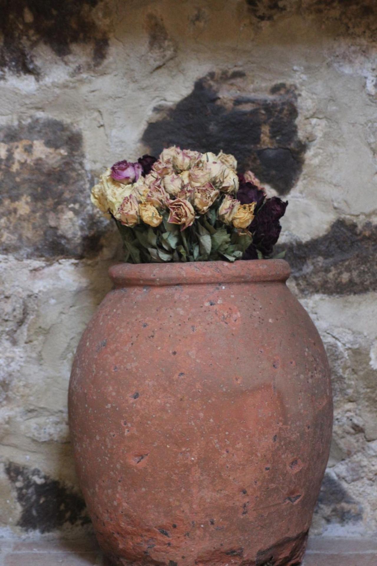 Affittacamere La Torre di Montalcino