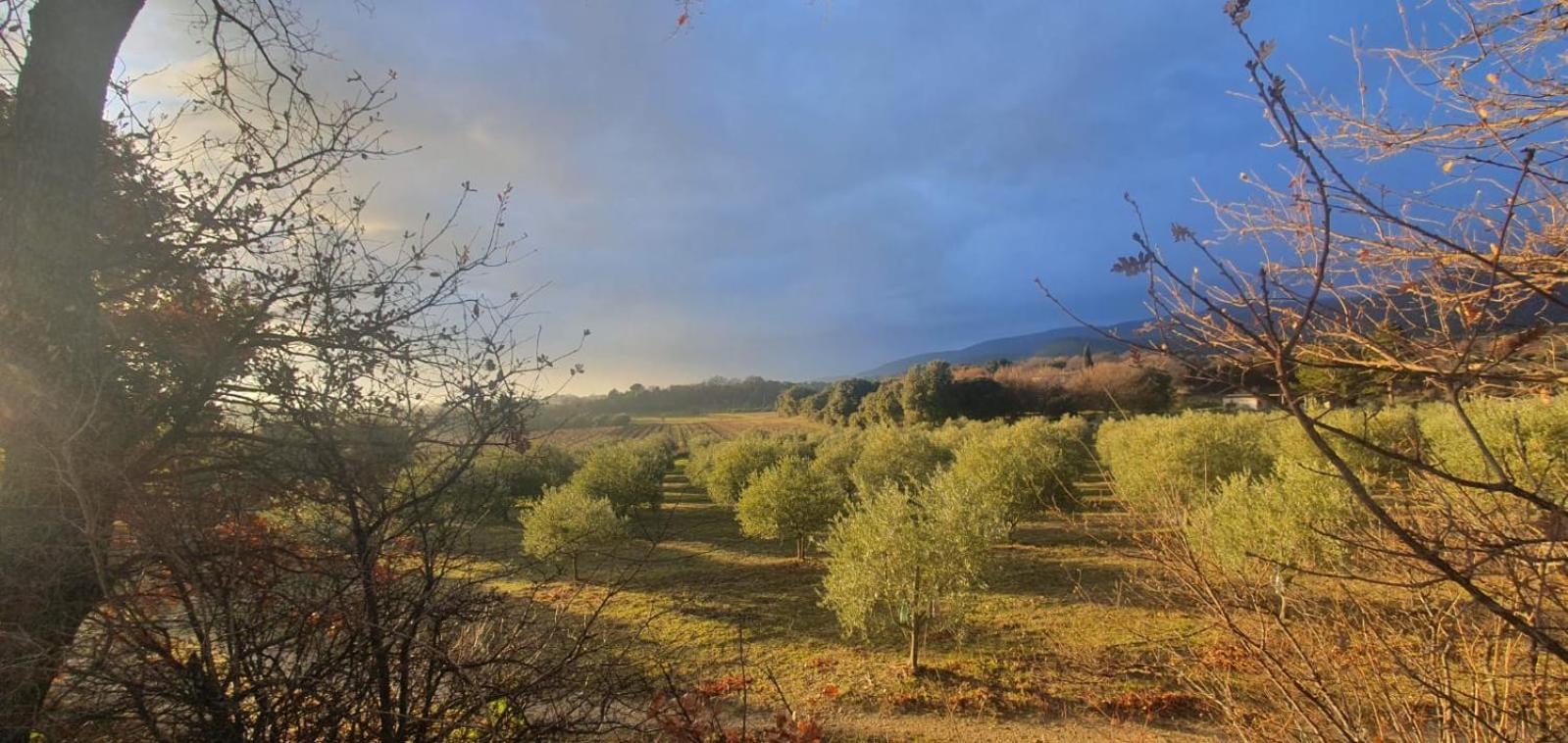 Chambre hôtes Les Garrigues CUCURON