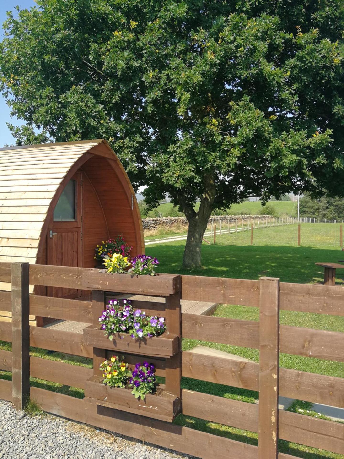 Sunny Mount Glamping Pod