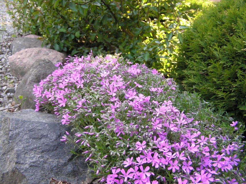 Dom nad jeziorem - Mazury