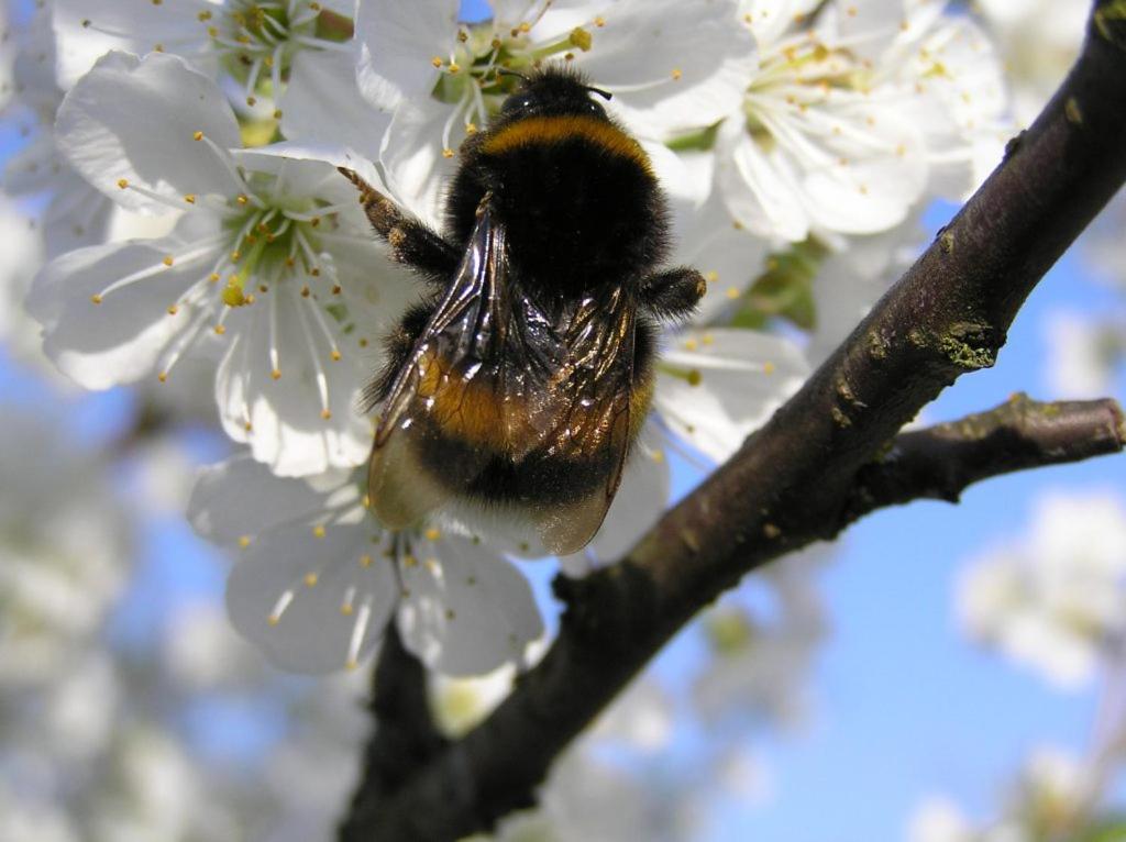Dom nad jeziorem - Mazury