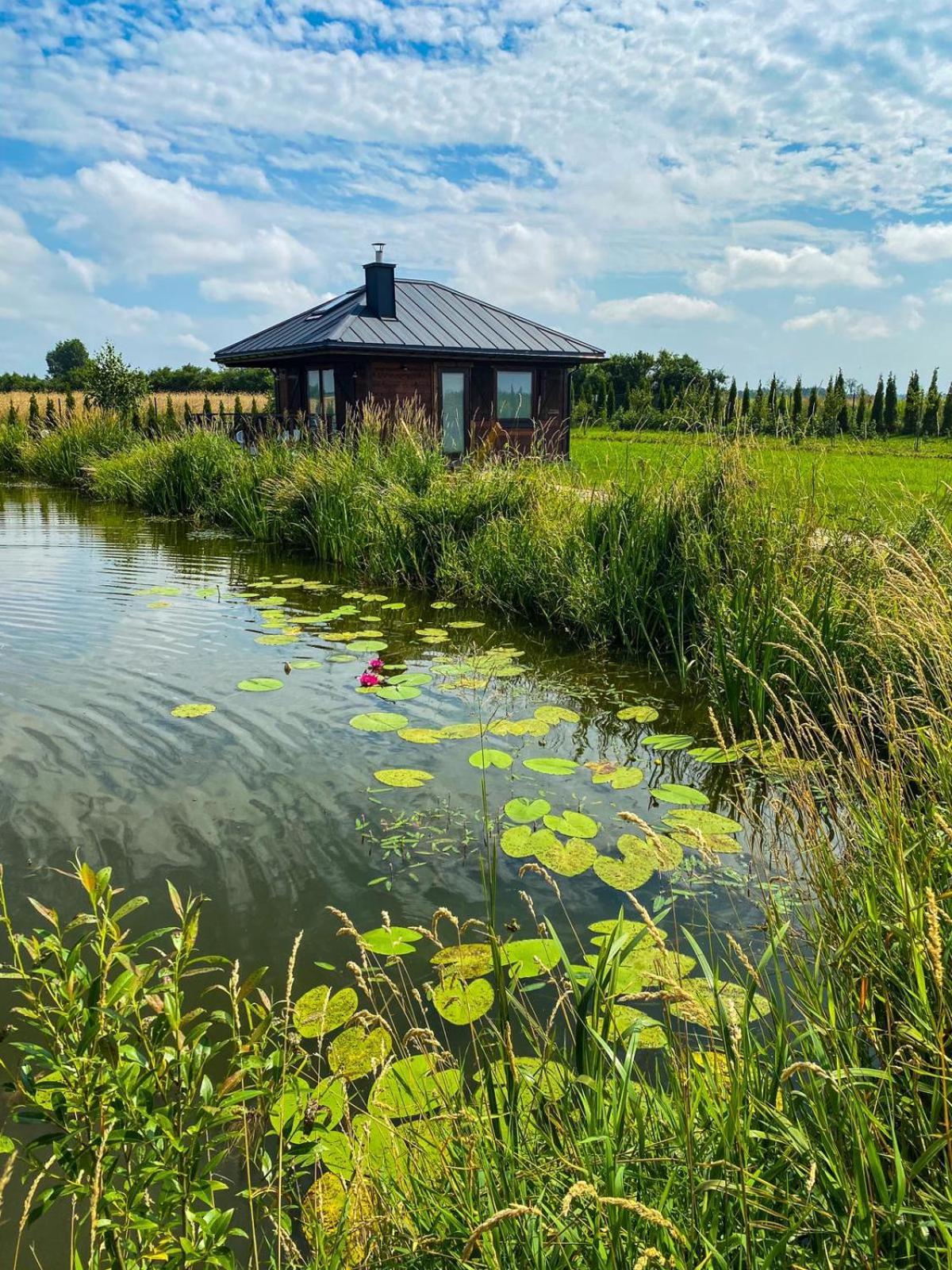 Luksusowe całoroczne domki z widokiem Janowiec