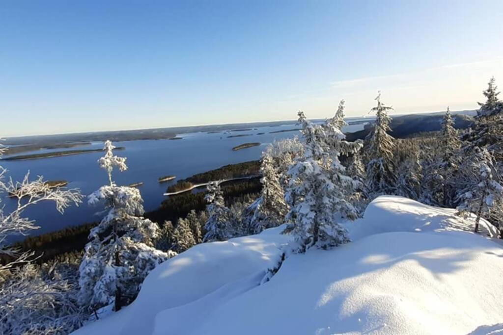 Kolin Kolo - Saunallinen kaksio