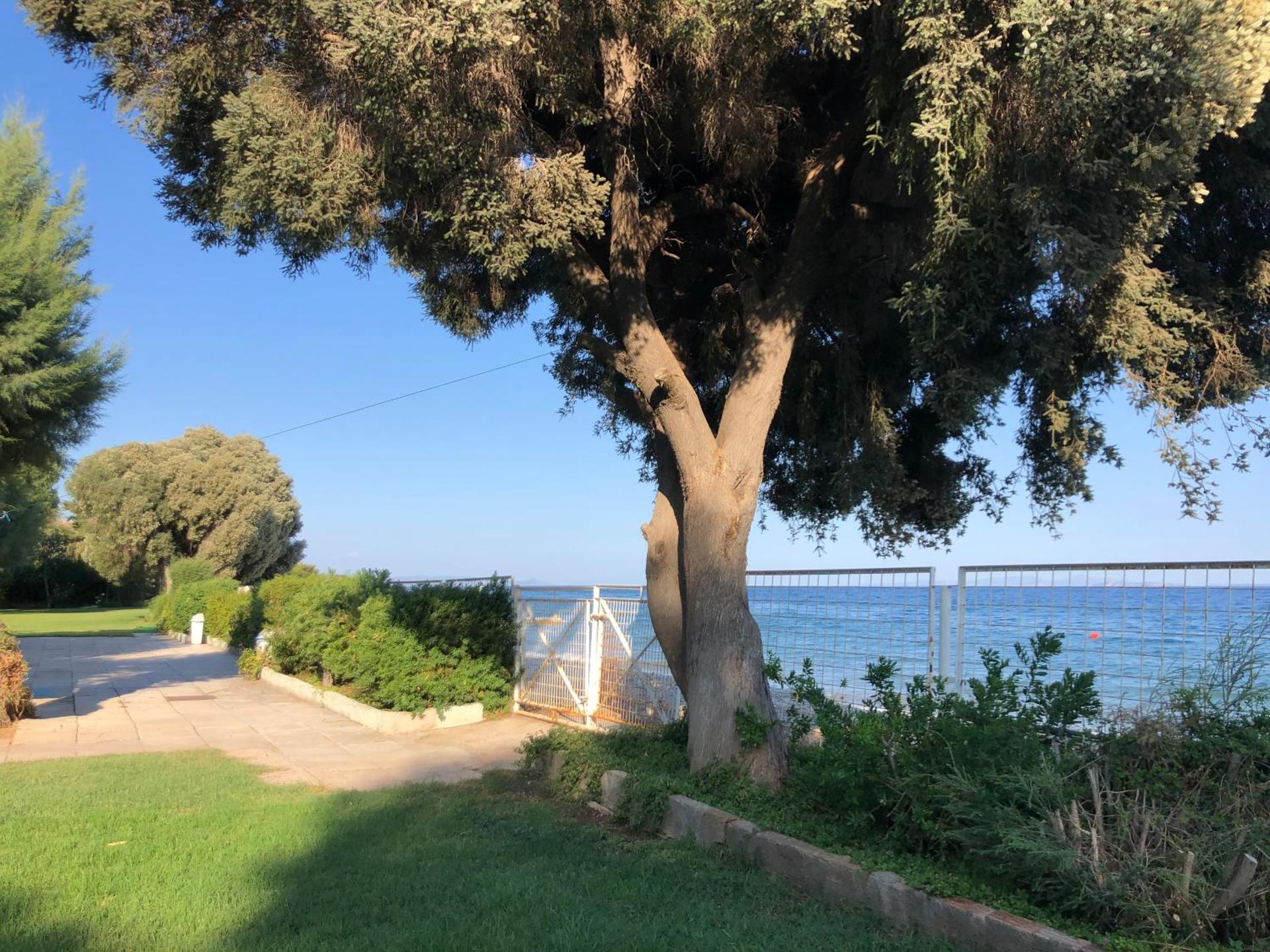 Ανεμπόδιστη Θέα με Κήπο και Πισίνα