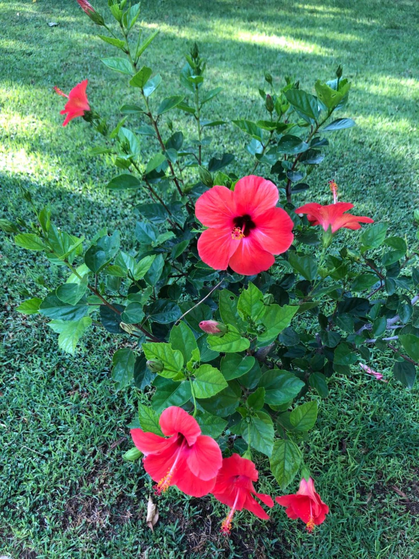 Ανεμπόδιστη Θέα με Κήπο και Πισίνα