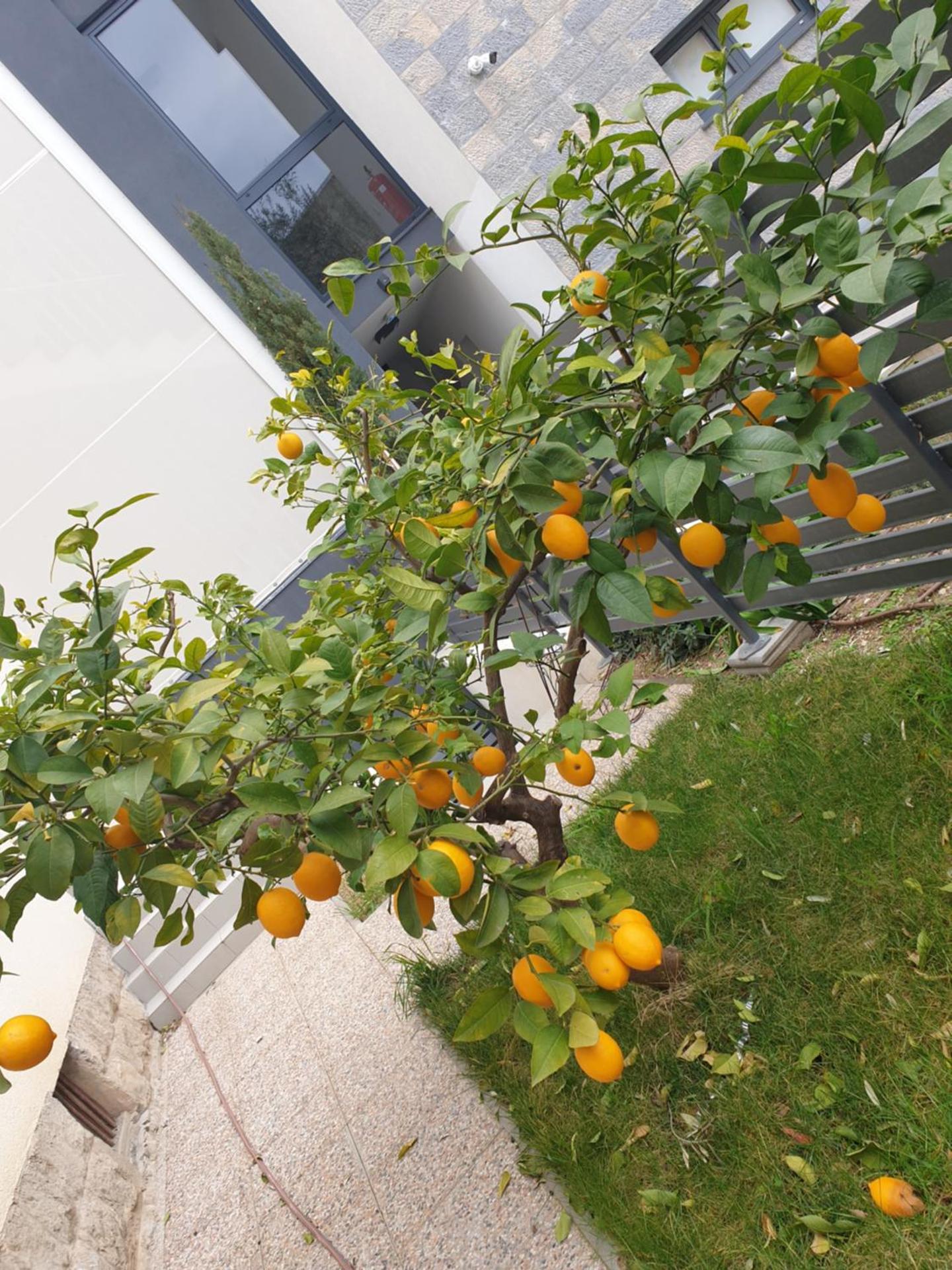 Vana & Tea Luxury Studio Apartment