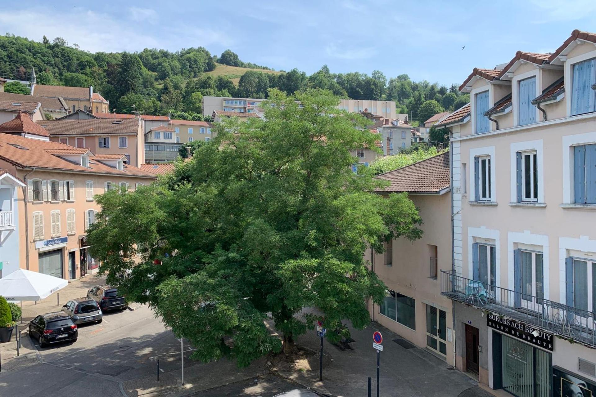 #M0 Le charme voironnais T3 6 persons City center