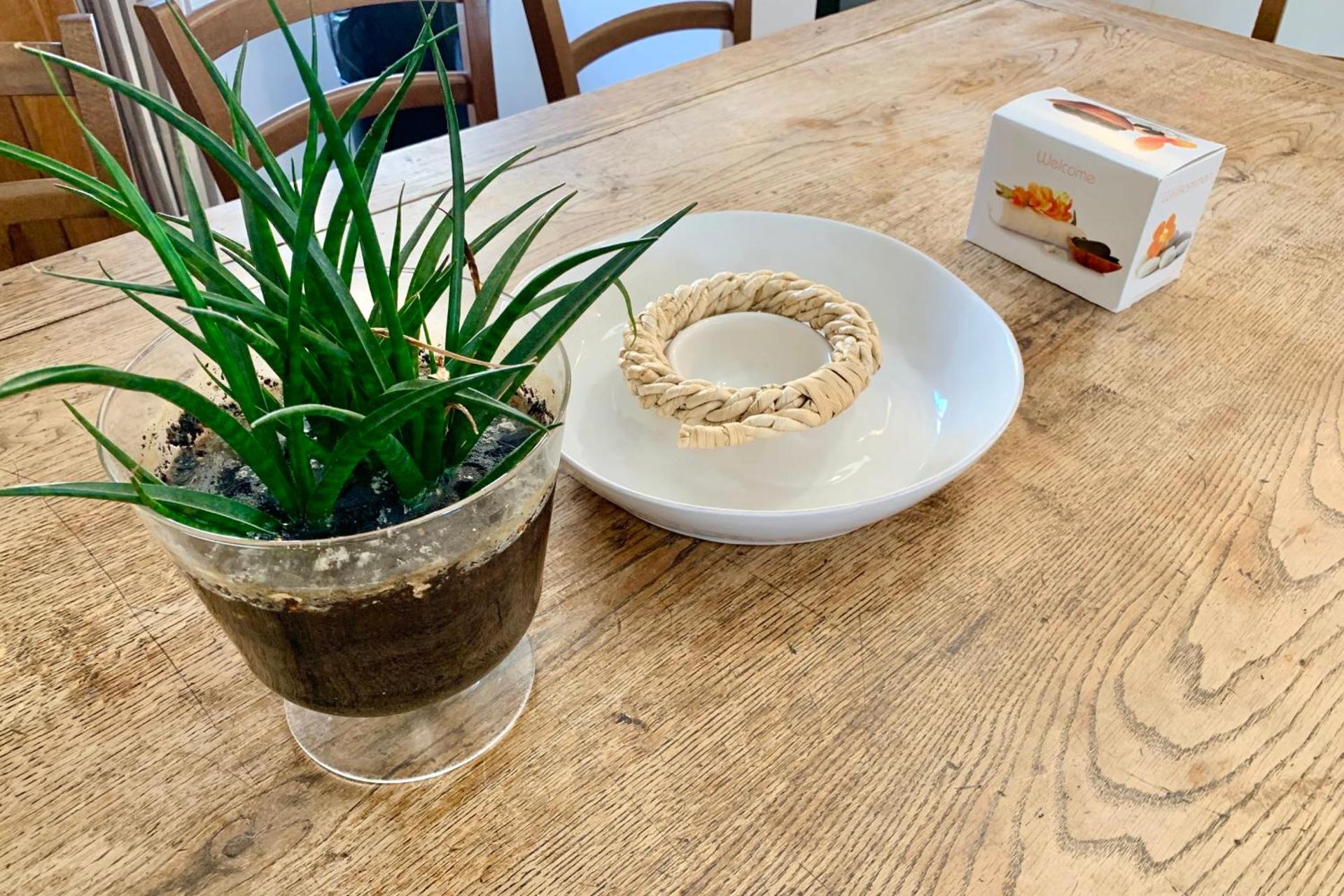 #M0 Le charme voironnais T3 6 persons City center