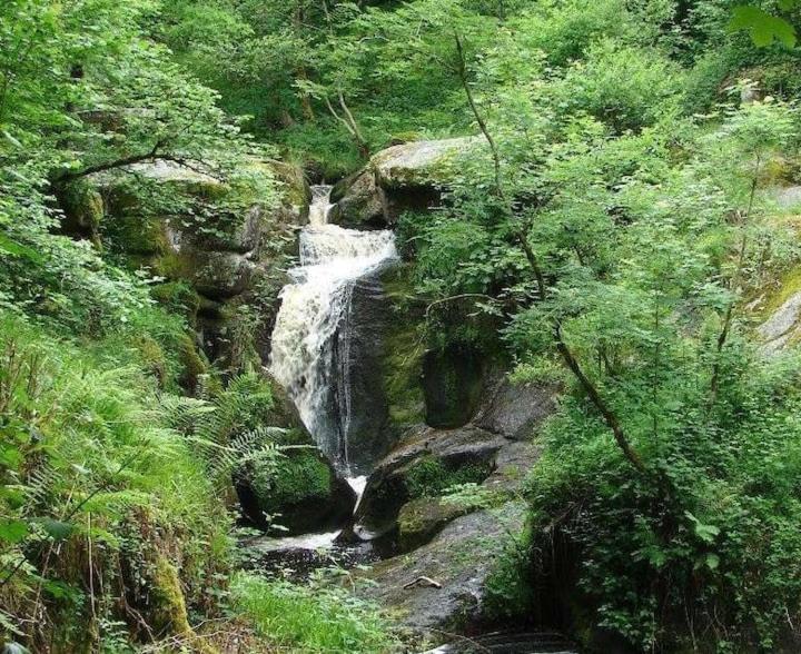Appartement rouge avec jardin