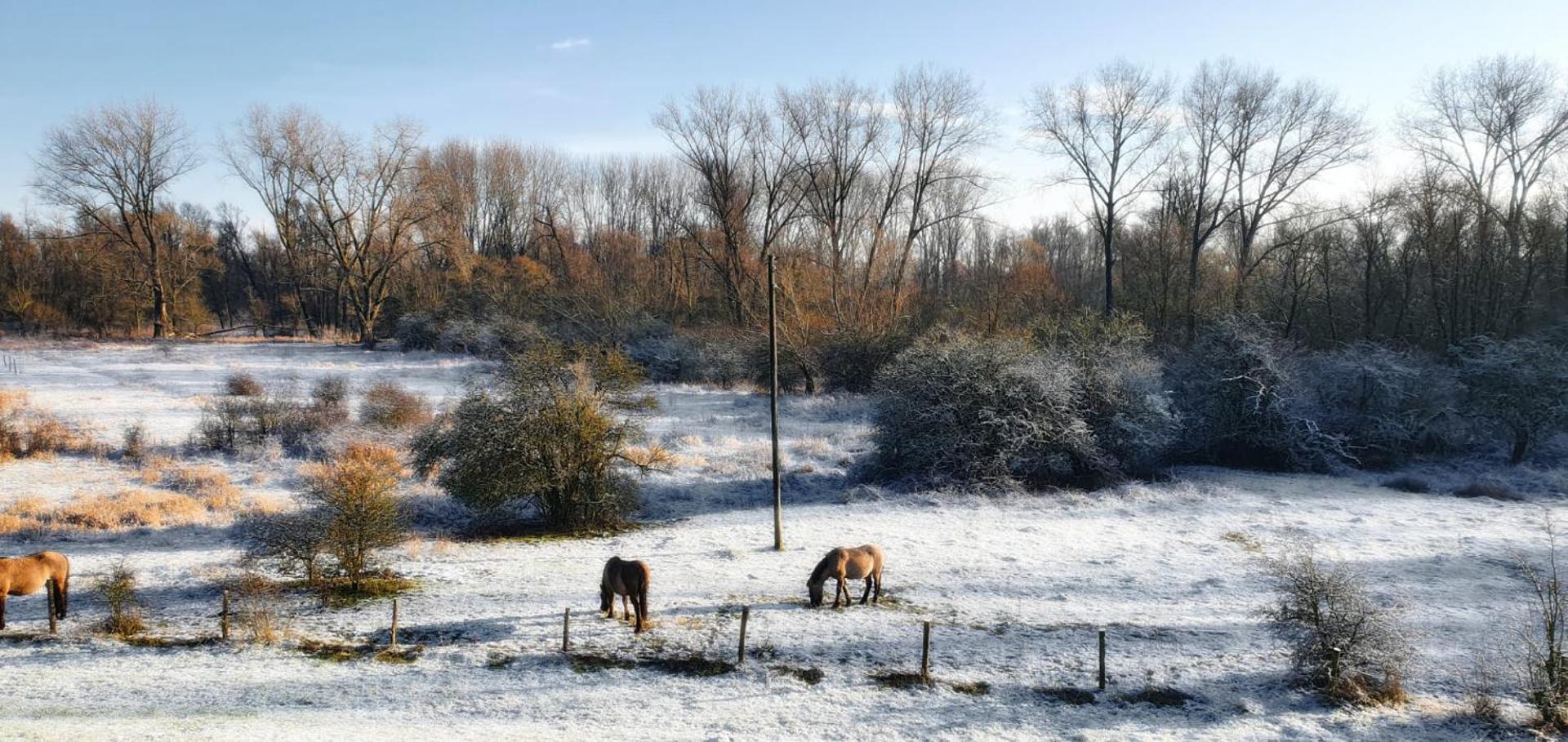 Gezinskamer van Waard van Kekerdom
