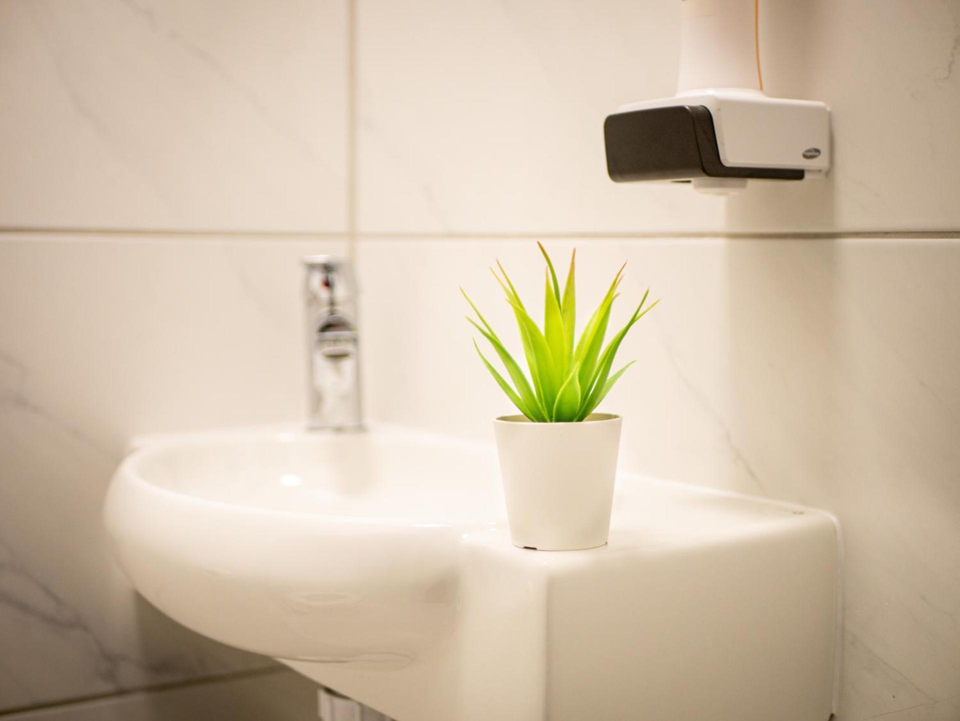 Apartment with Garden View