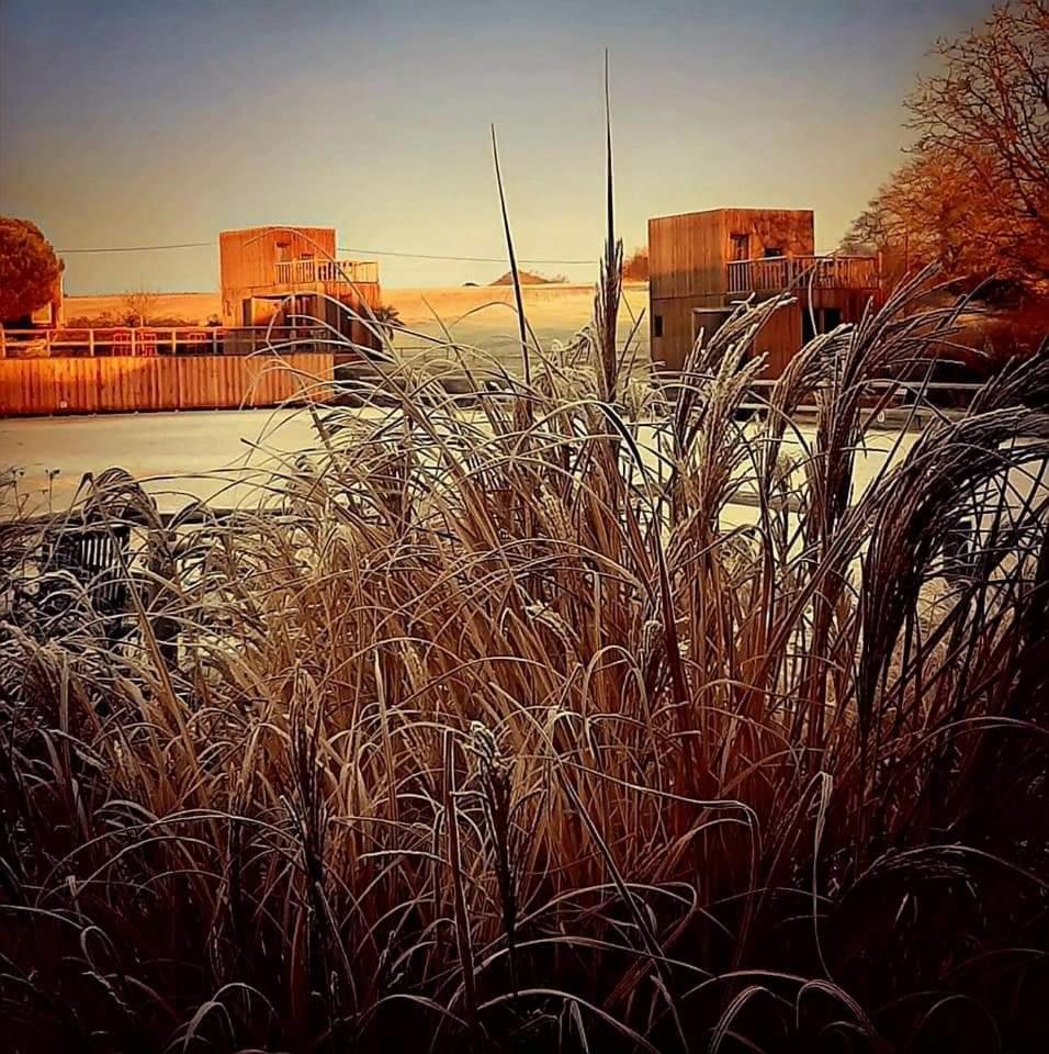 Manège de la Chapinière - DadaLoge tiny-house