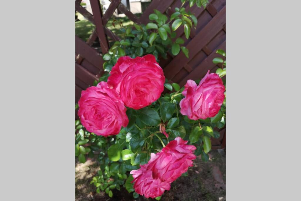 Ferienwohnung Susanne, Losheim am See