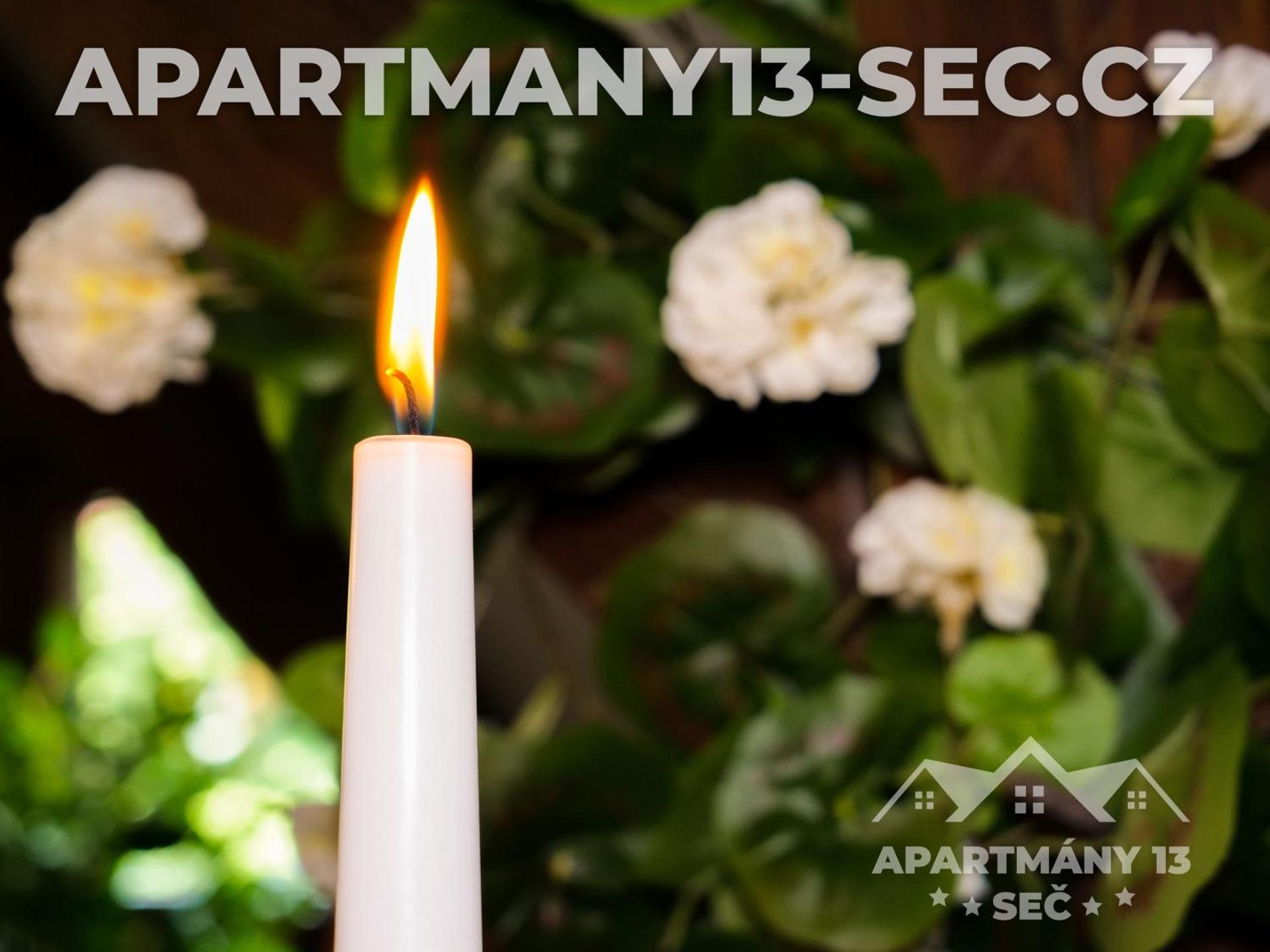 Apartmánový dům 13 Podkroví 2