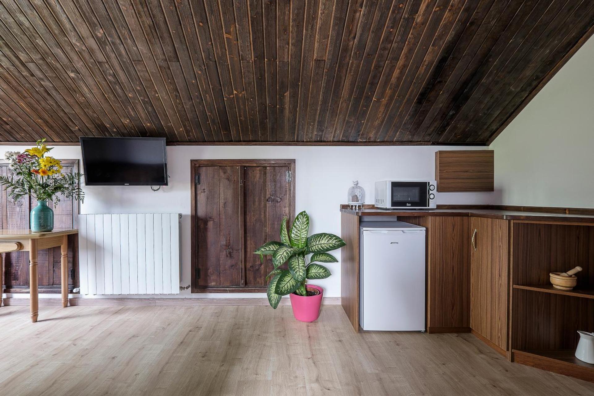 Apartment with Mountain View