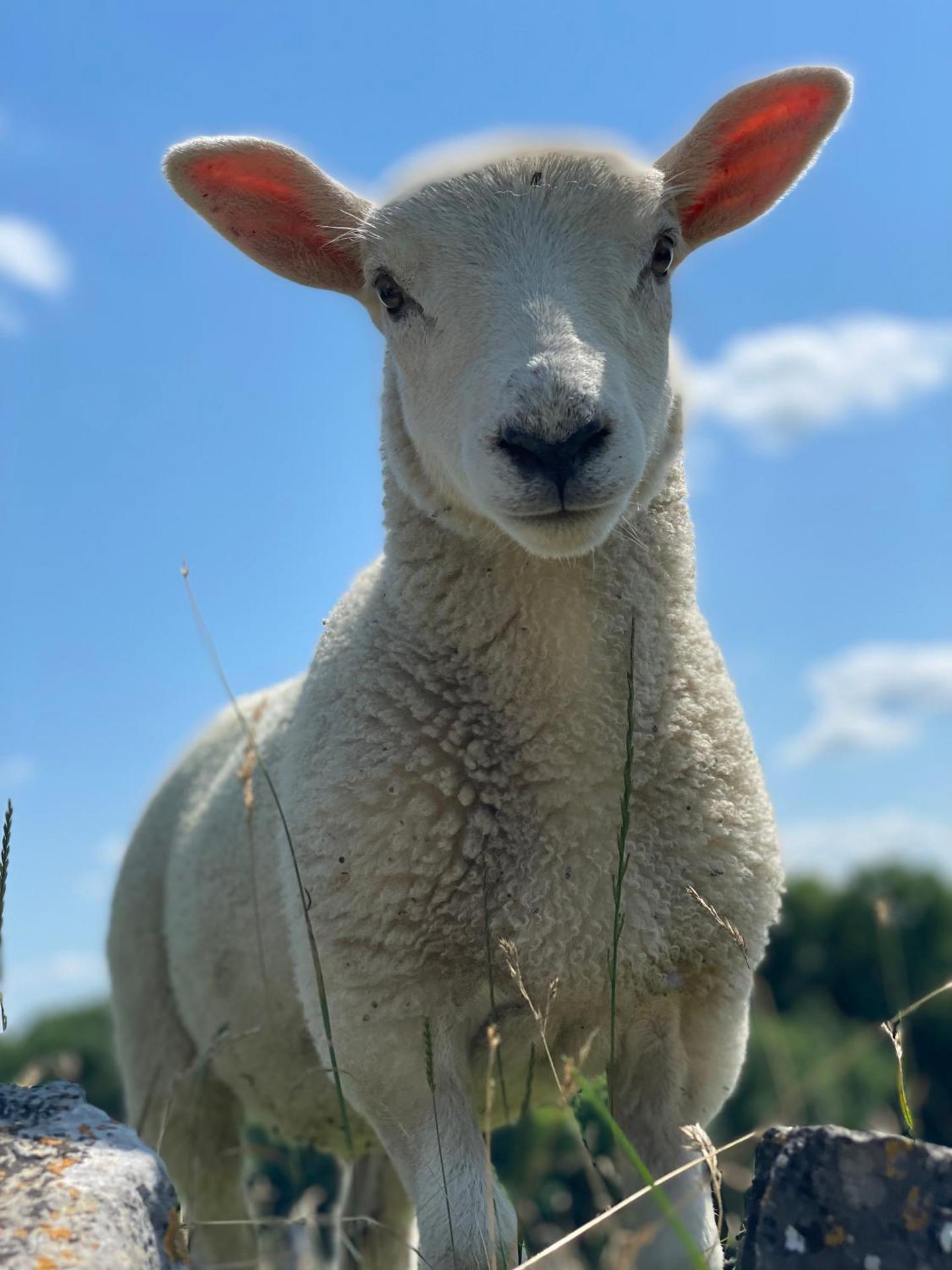 Beautiful old bank in Bakewell