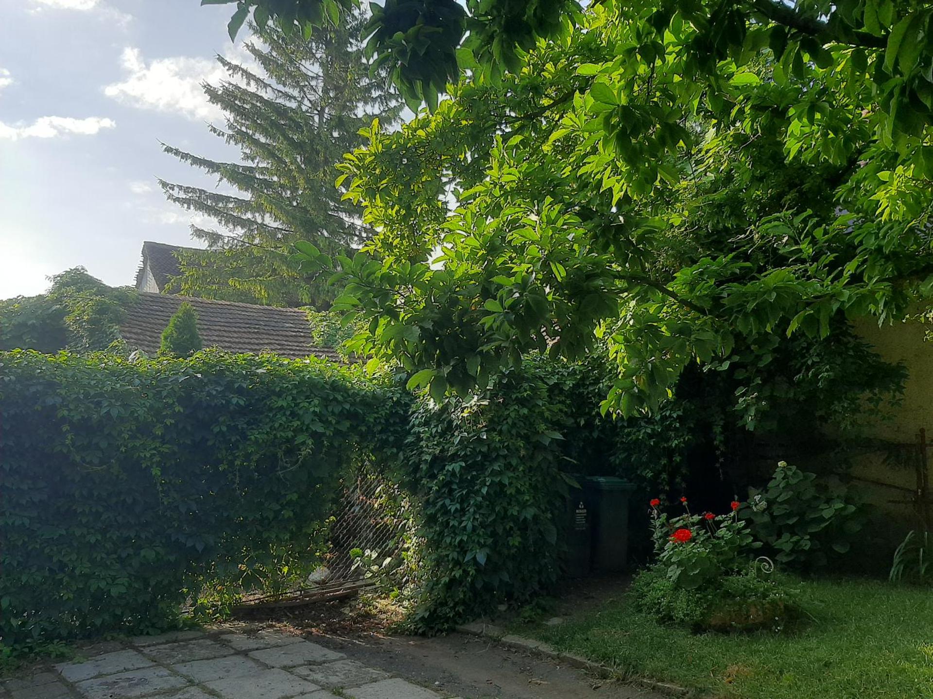 Inner courtyard view