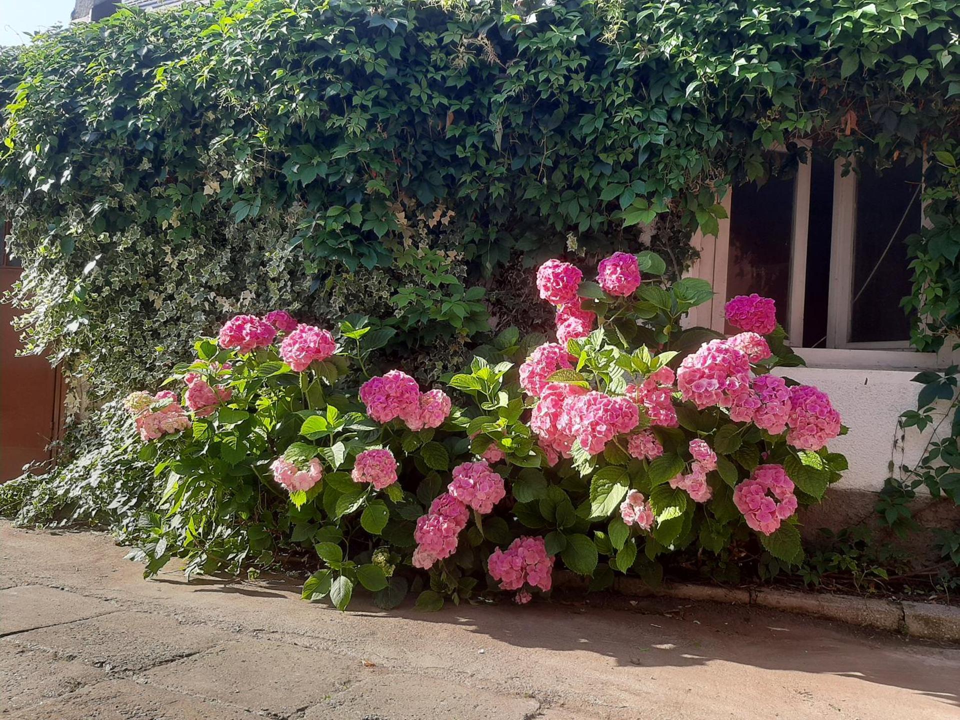 Inner courtyard view
