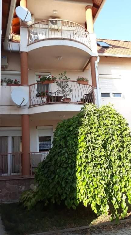 Boróka 2 Apartman