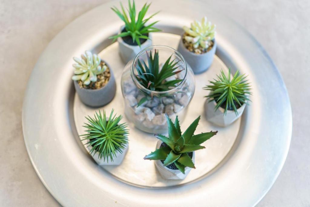 THE YDRA VIEW APARTMENTS