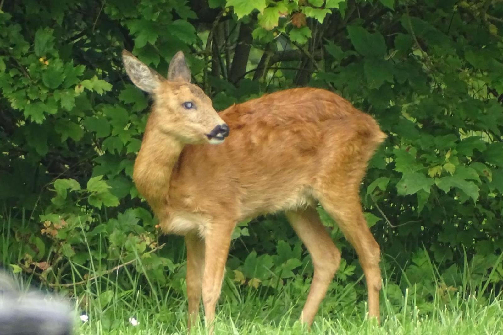 Landgoed het Heuvelbosch