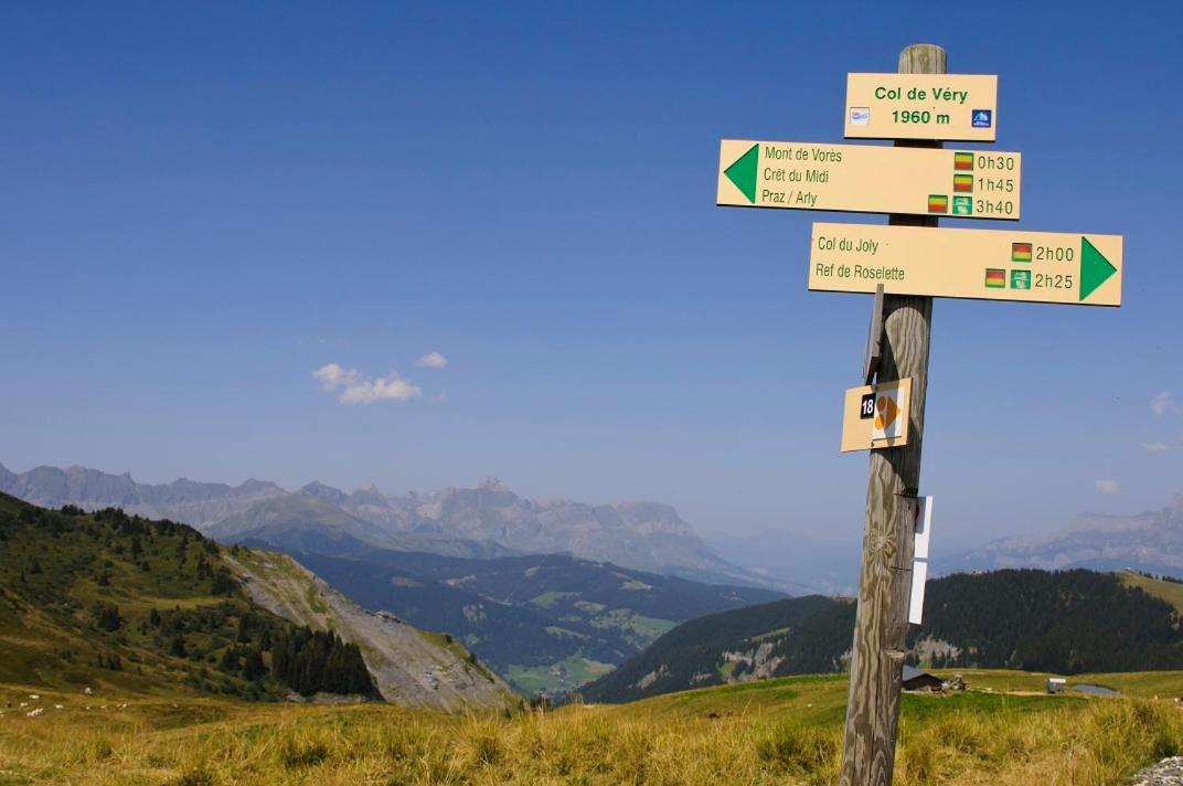 Logo/Certificate/Sign