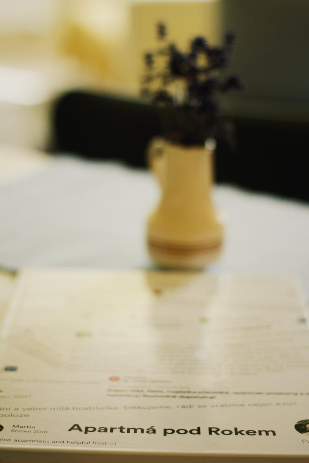 Apartmán "Pod Rokem"