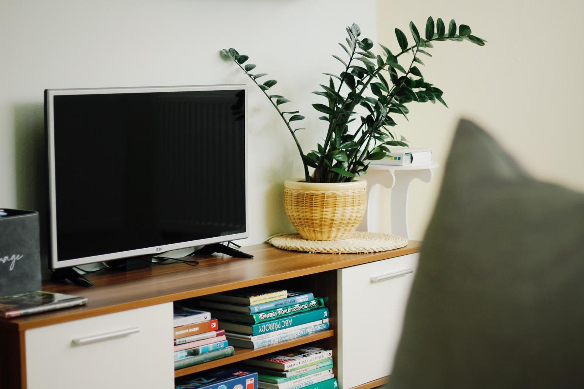 Apartmán "Pod Rokem"