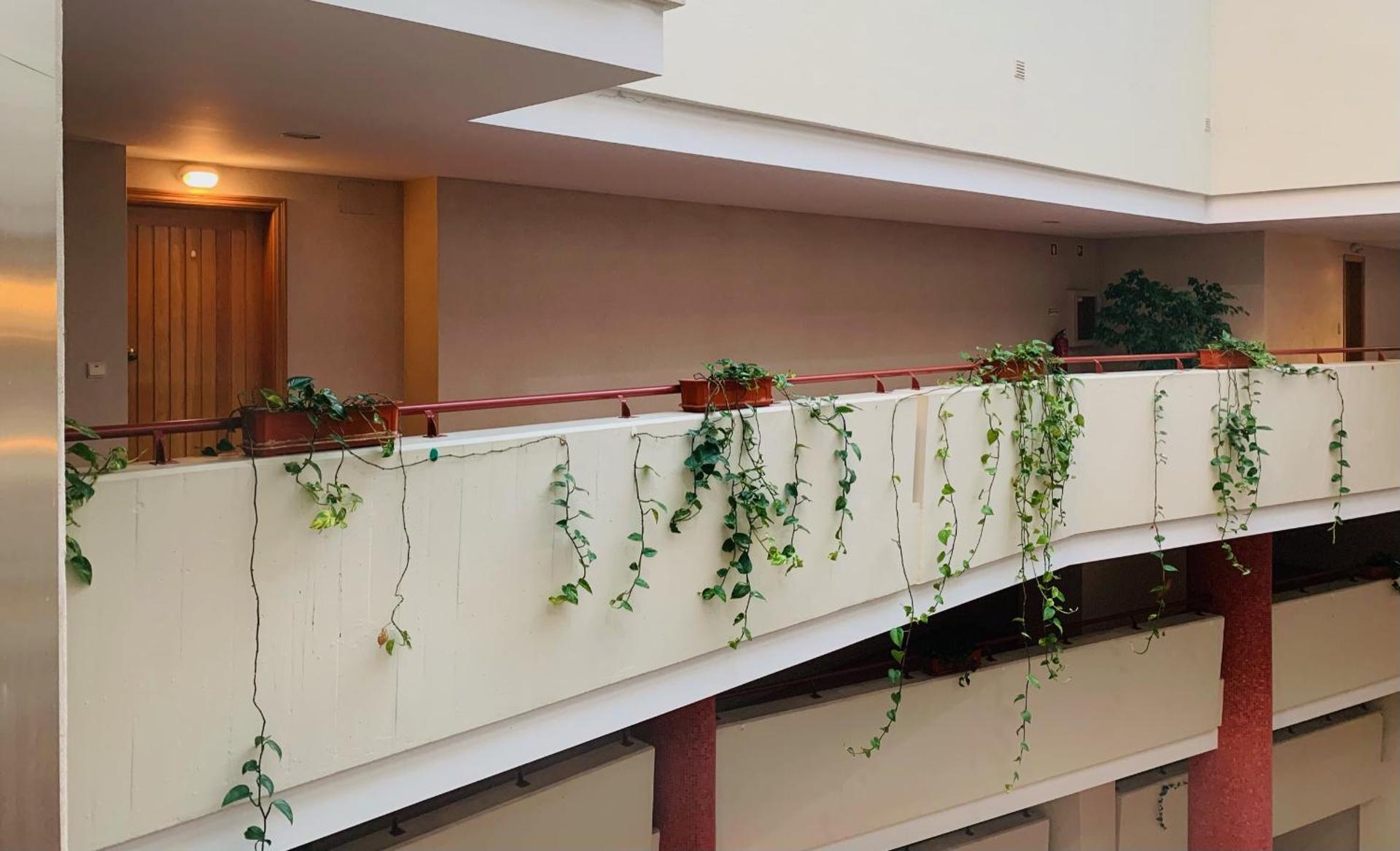 Pérola de Viana - Cabedelo