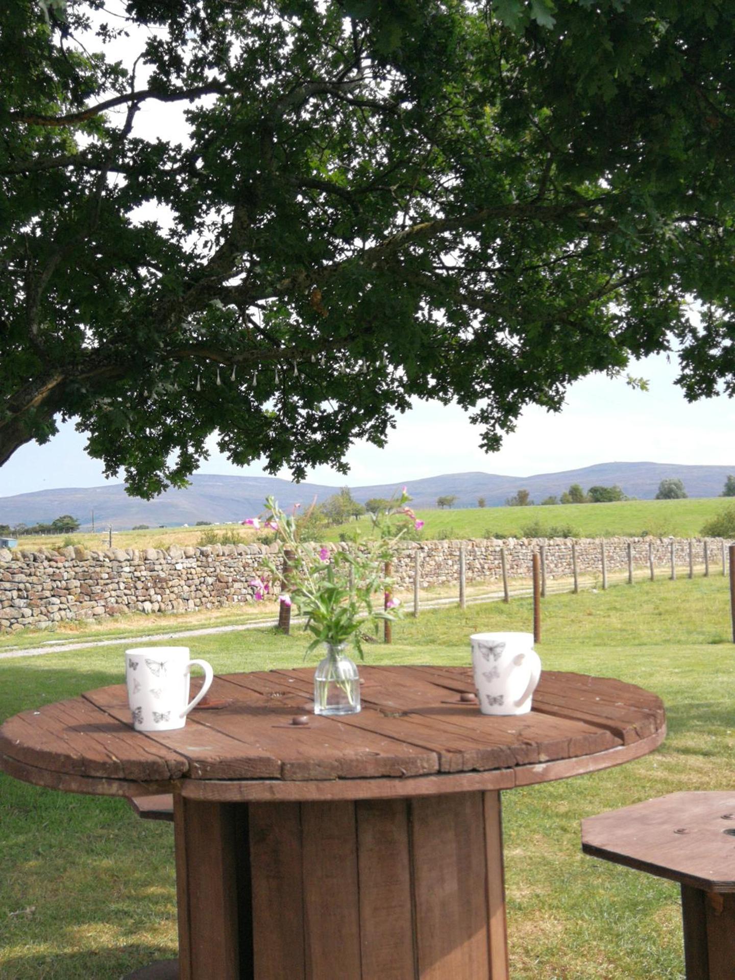 Sunny Mount Glamping Pod