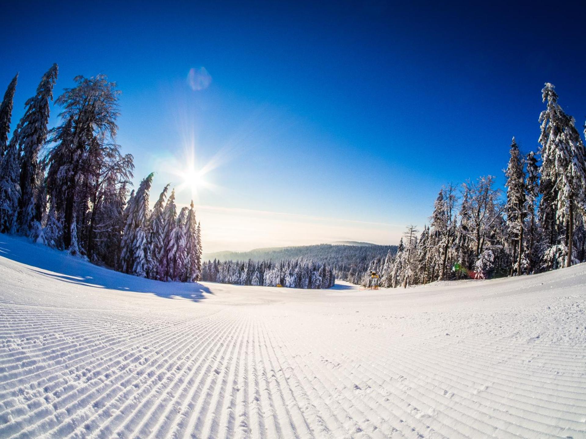 HP APARTMÁNY SKIAREÁL- Buková Hora v Orlických horách 100 m od lanovky