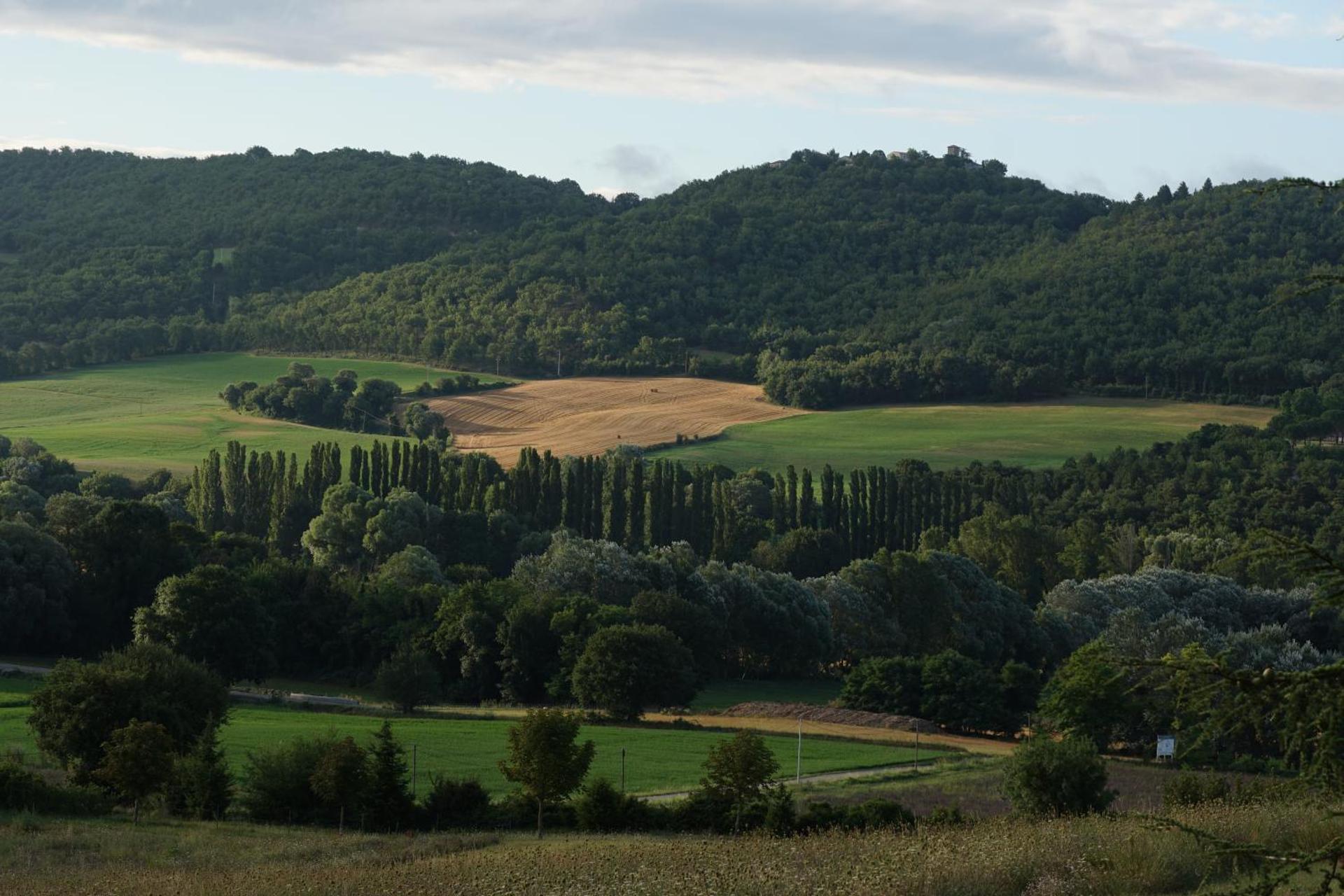 Les Néfliers chambre d'hôtes