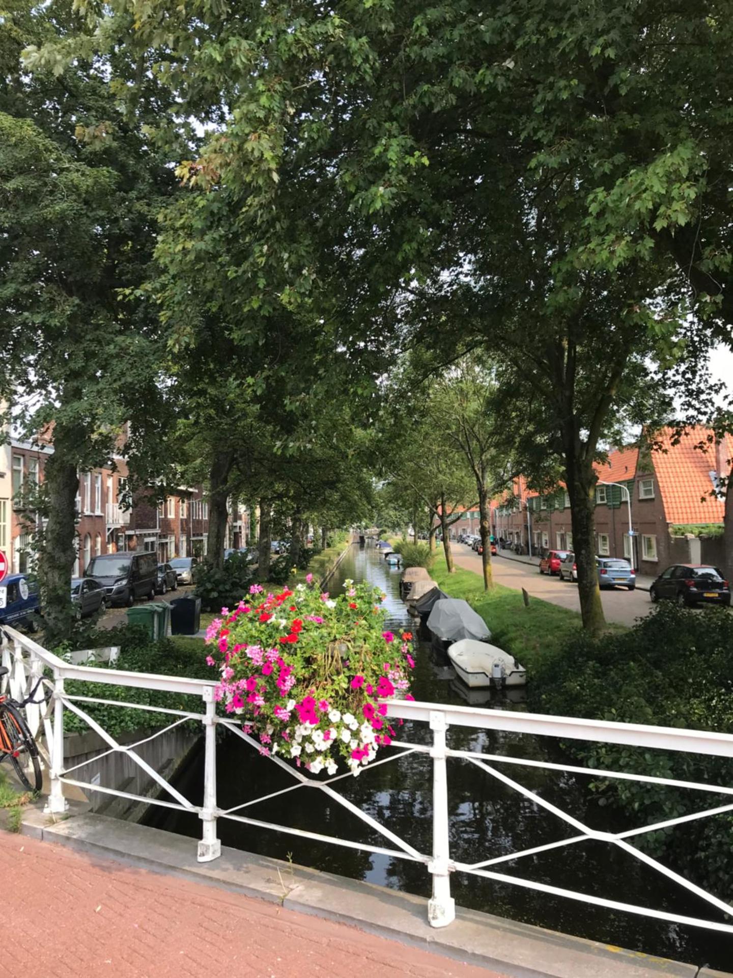 De Haarlemse Logeerkamer