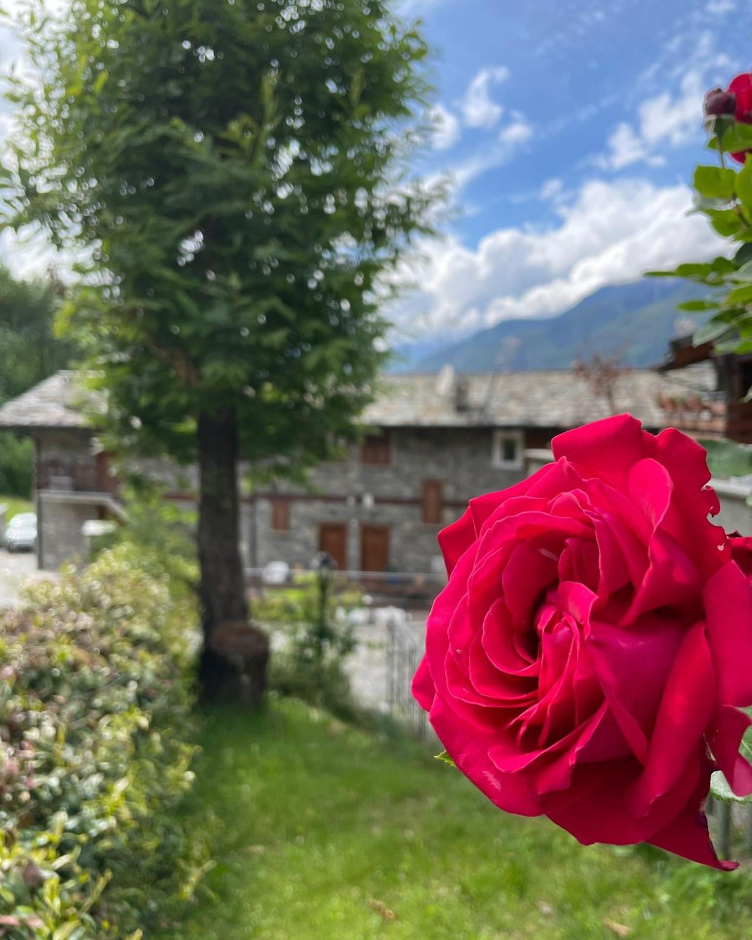 Orobie Holiday Apartments