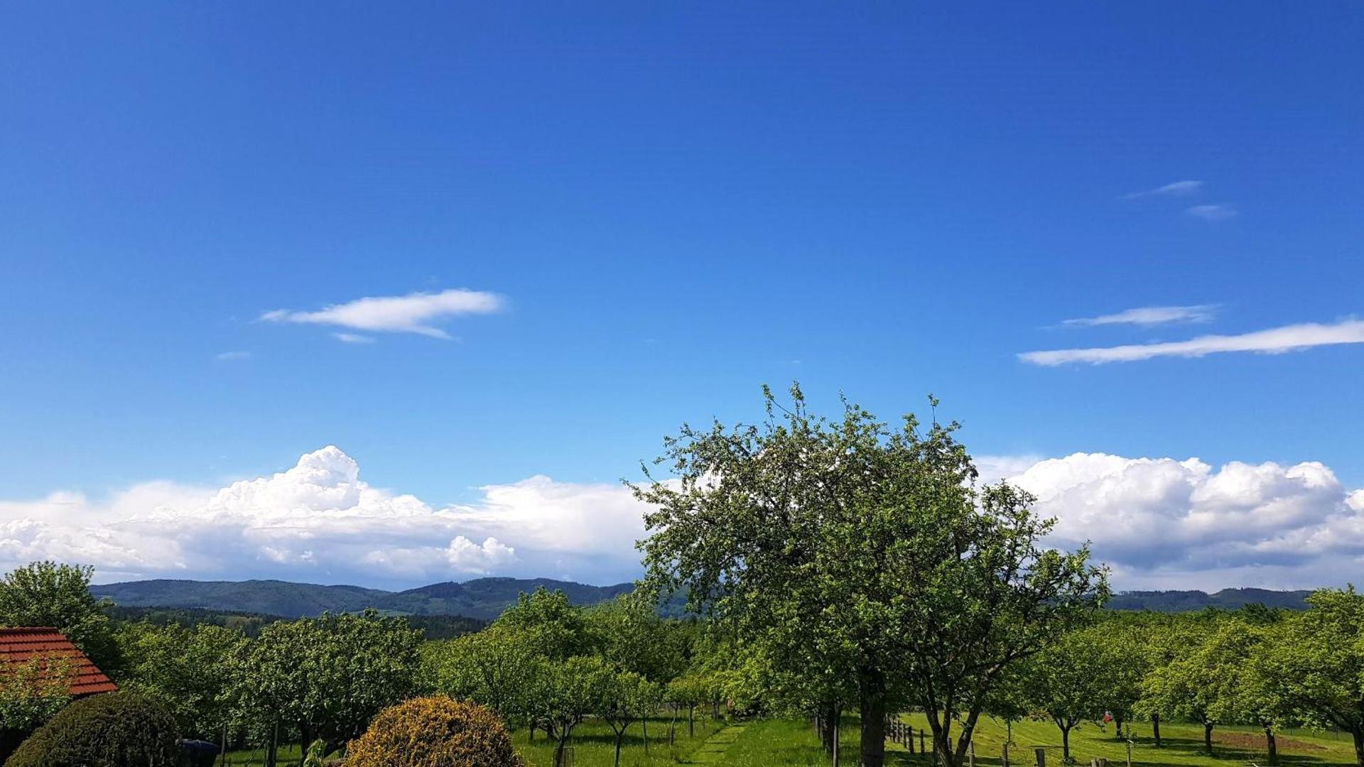 CHALUPA KOTÁR - 7 míst za 1 cenu