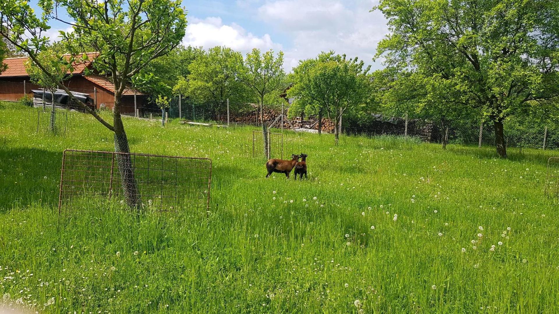 CHALUPA KOTÁR - 7 míst za 1 cenu