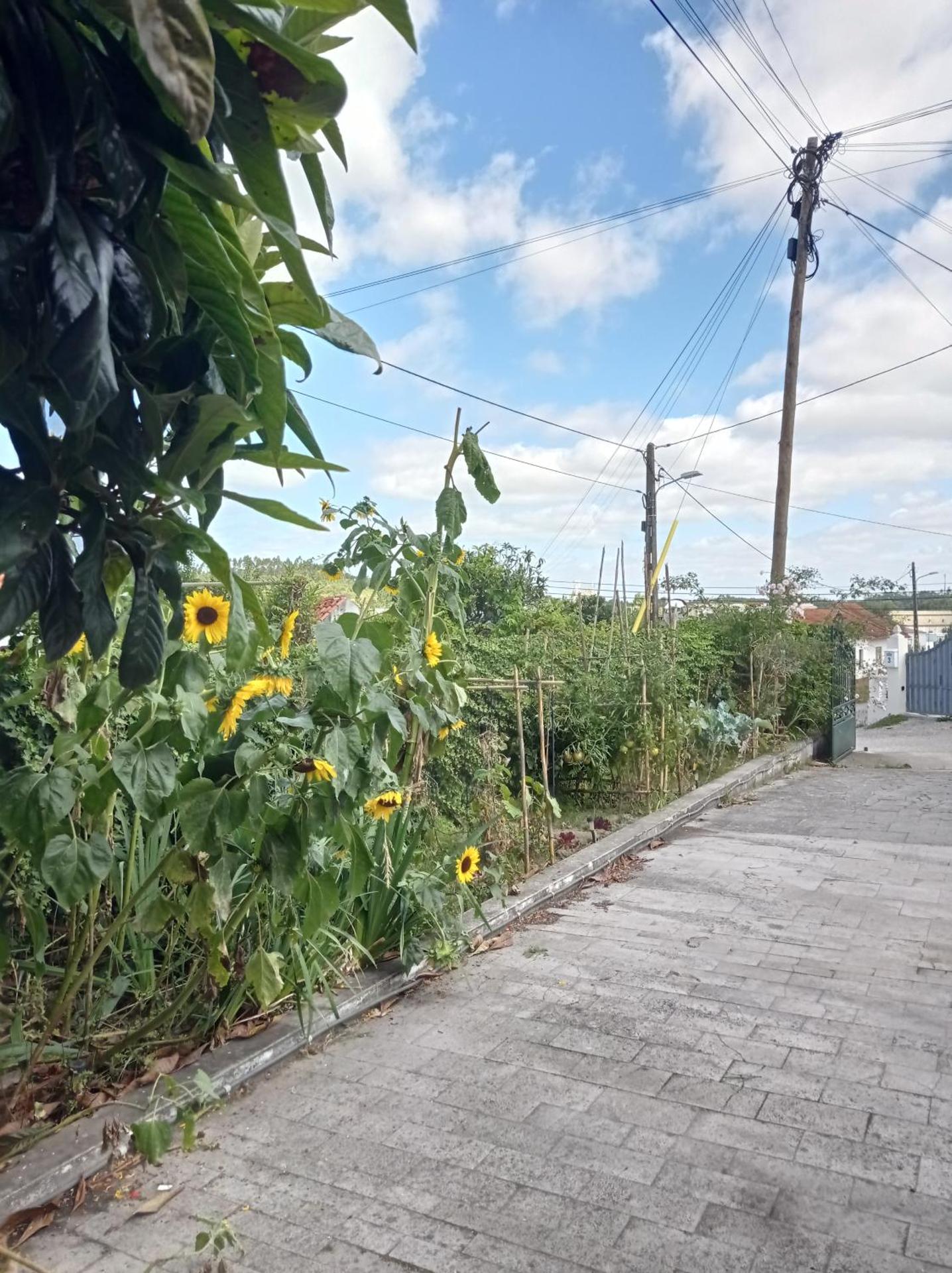 Casa da Nespereira- lugar acolhedor rodeado de natureza