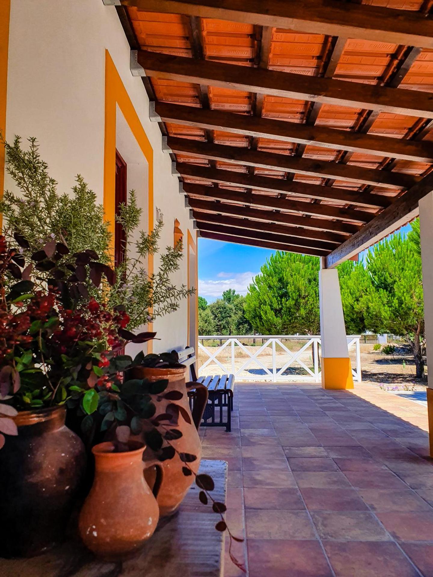 Monte do Brejinho de Água