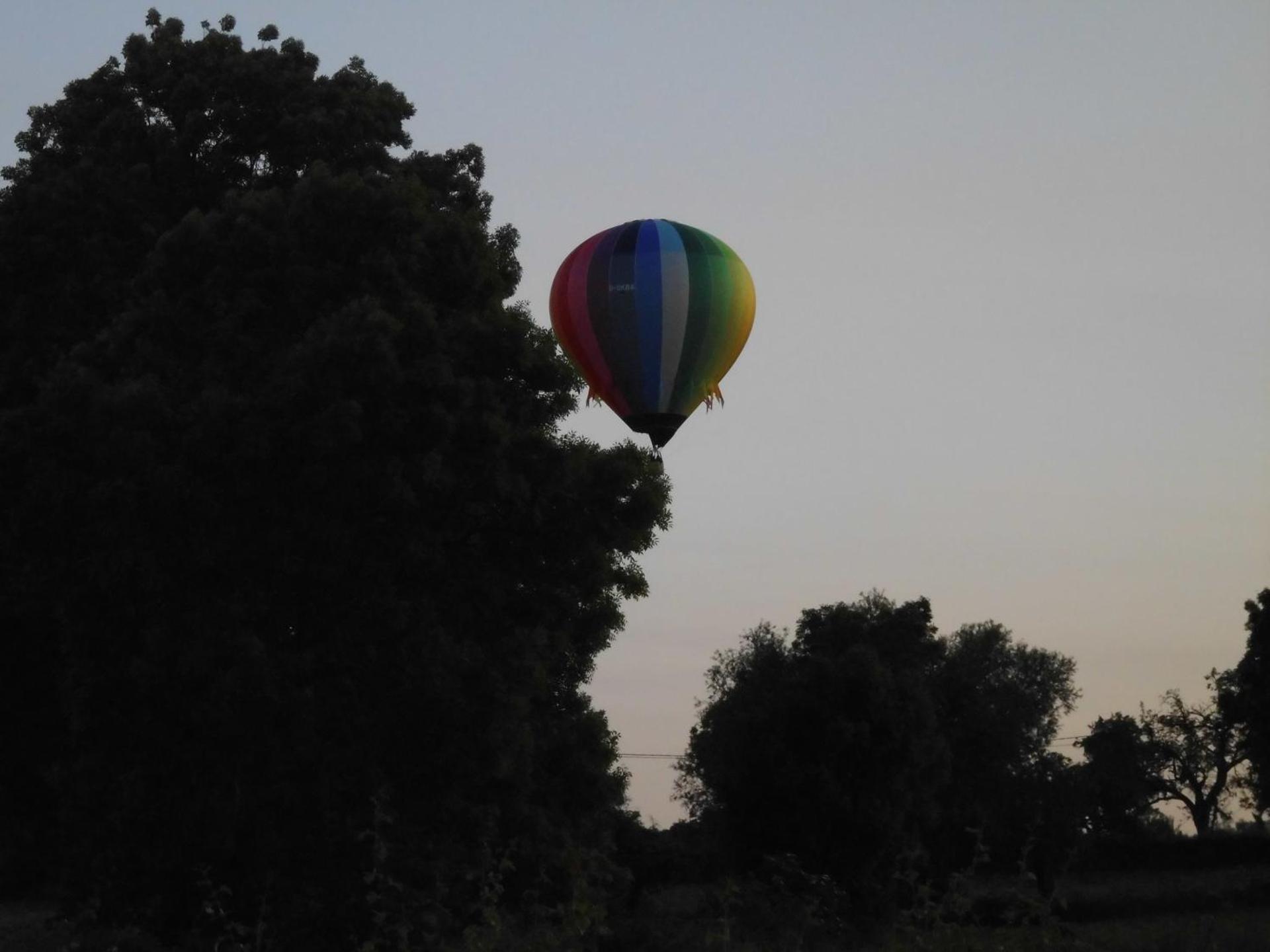 View (from property/room)