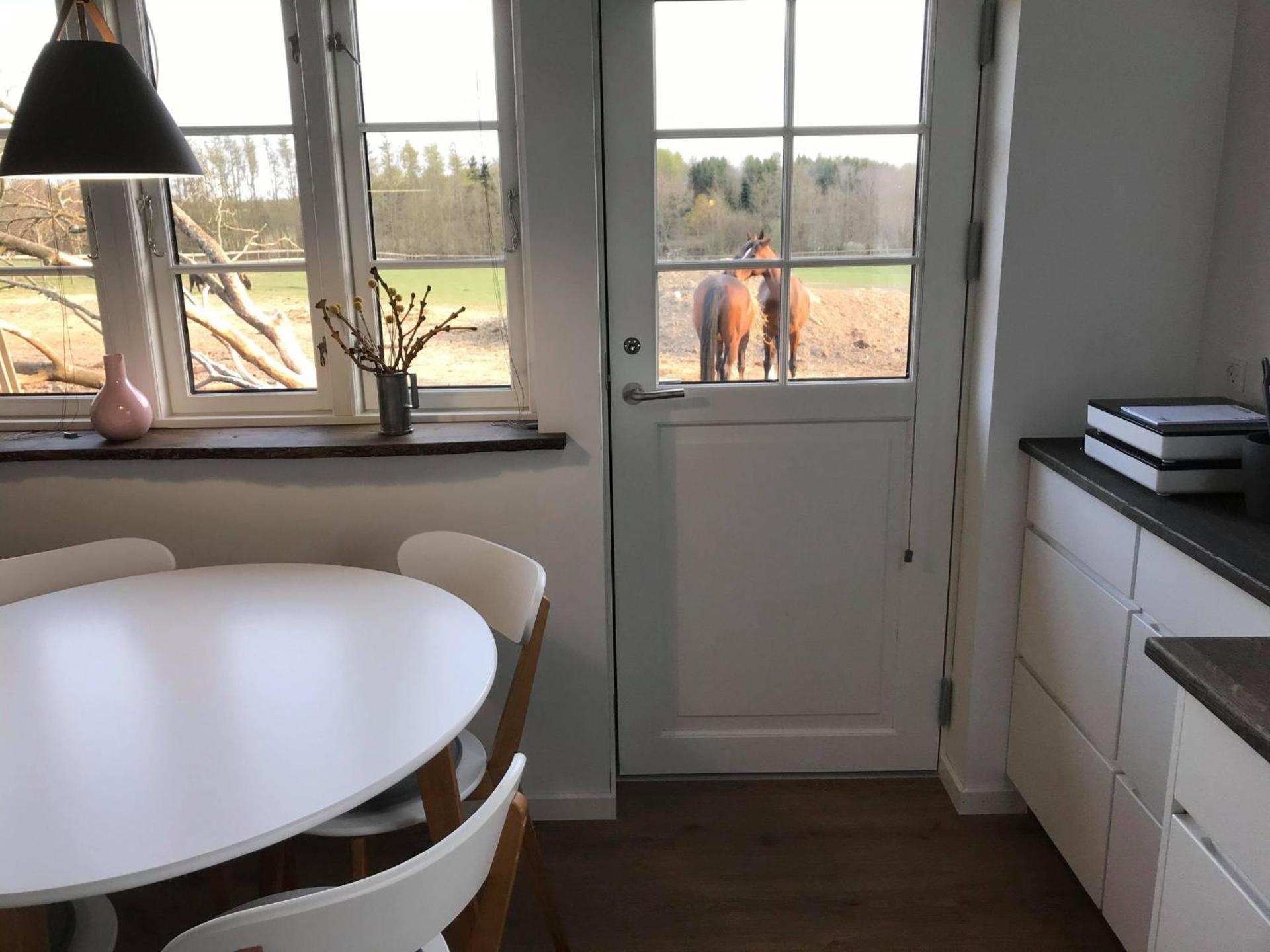 Poolhouse, no smoking everywhere