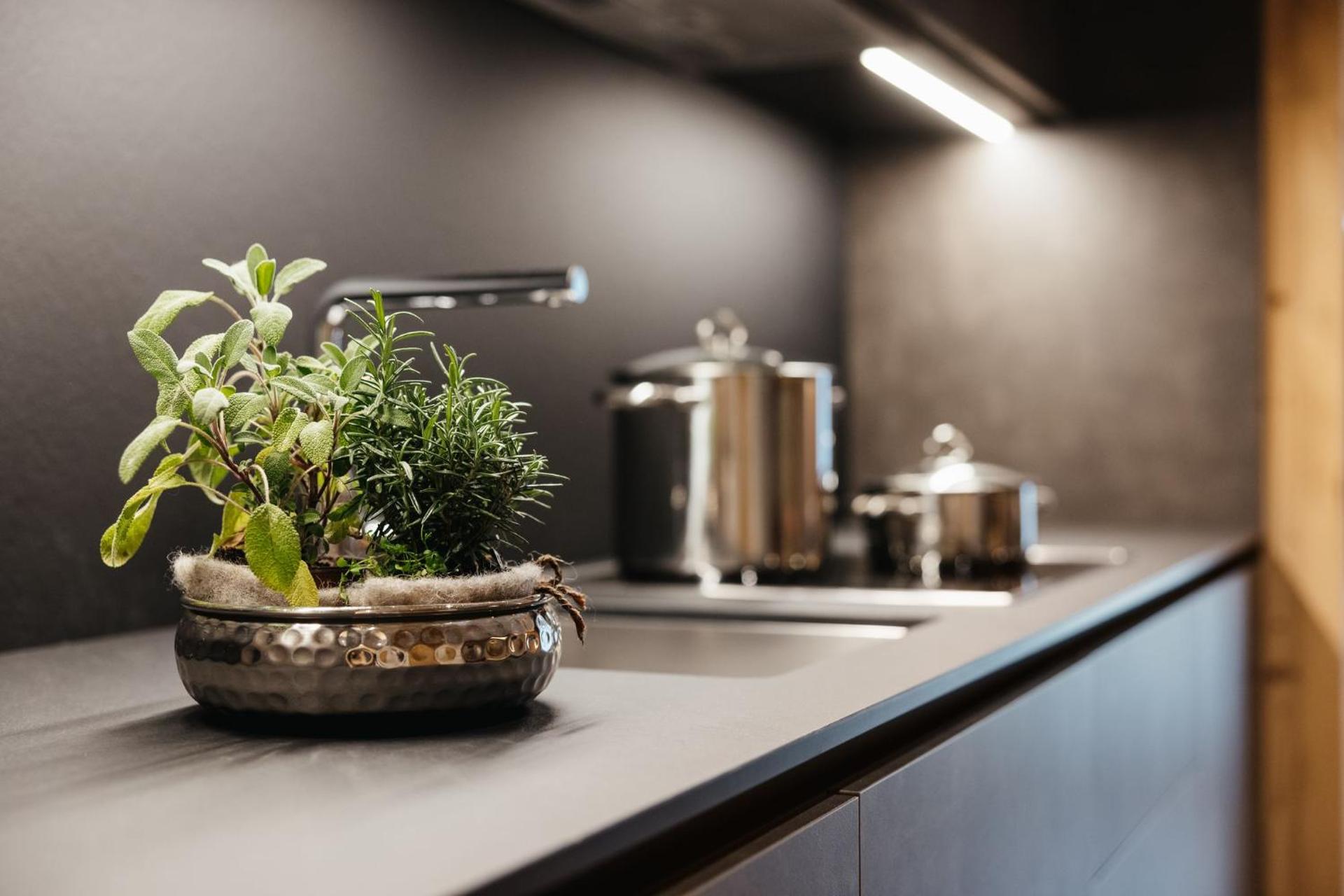 Alpine Chalet Sauter