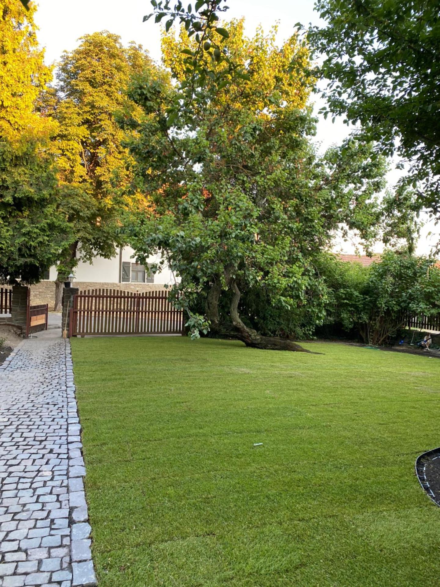 Two-Bedroom Apartment with Terrace