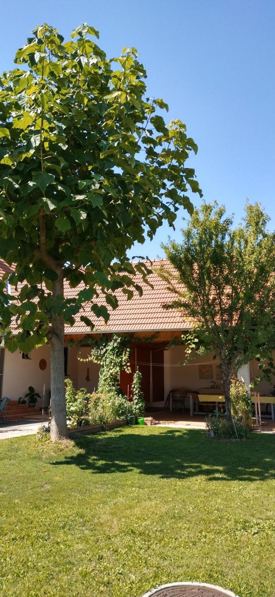 Anna's Cosy Apartment