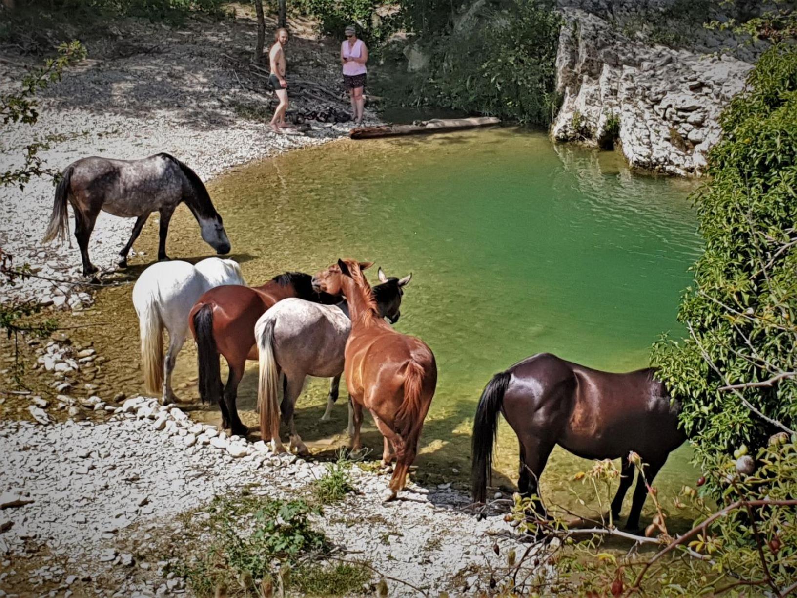 Ferme Equestre Les Coccinelles