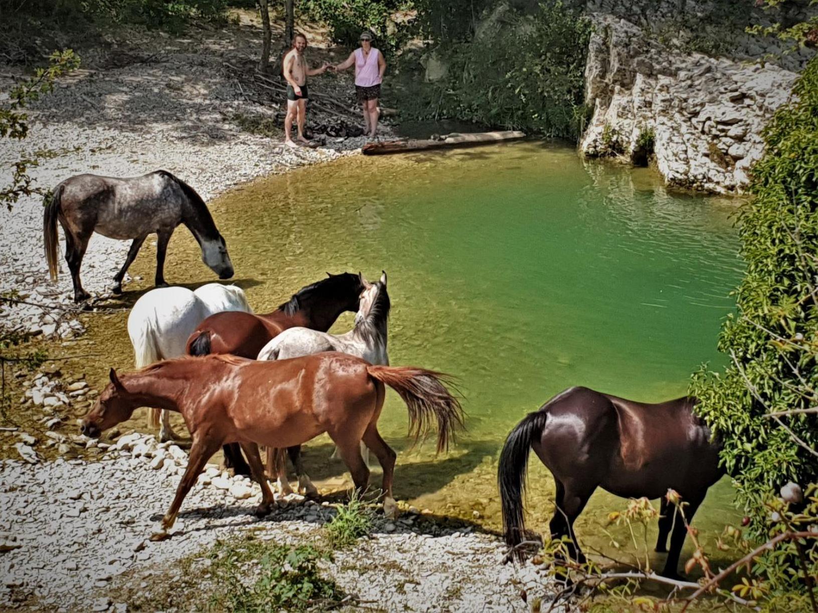 Ferme Equestre Les Coccinelles