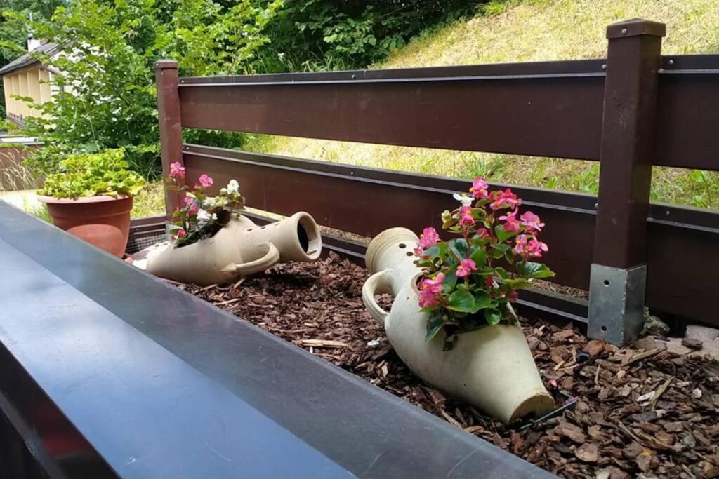 Trilocale ALICE nel paese delle meraviglie