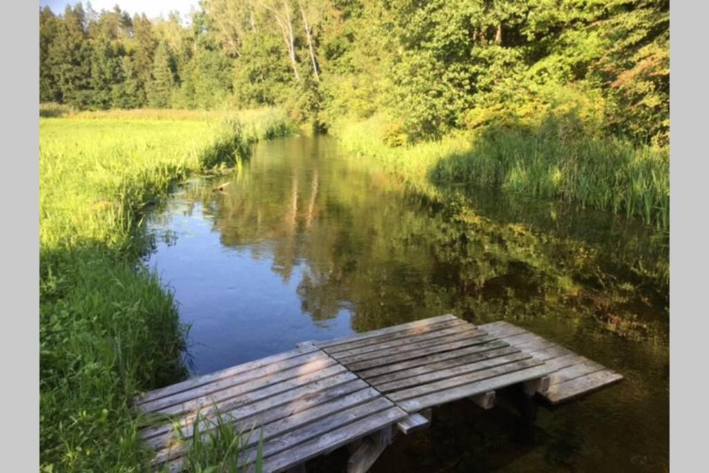 Siedlisko Czarny Bocian